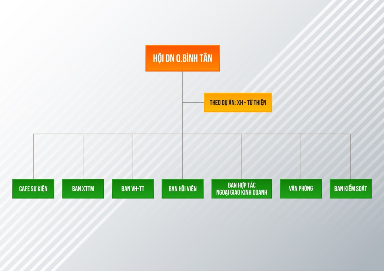 Sơ đồ tổ chức Hội Doanh nghiệp Bình Tân